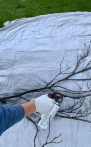 Spray painting branches black